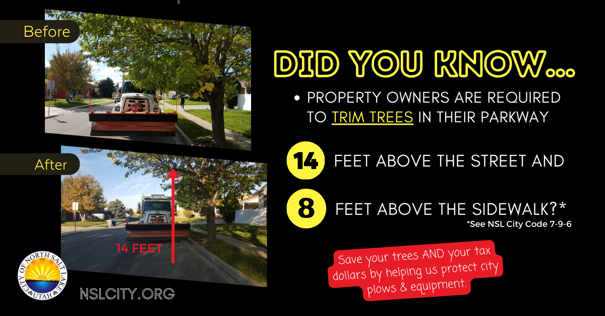 PW Trim Trees 2023 14 and 8 ft (1200 x 628 px)