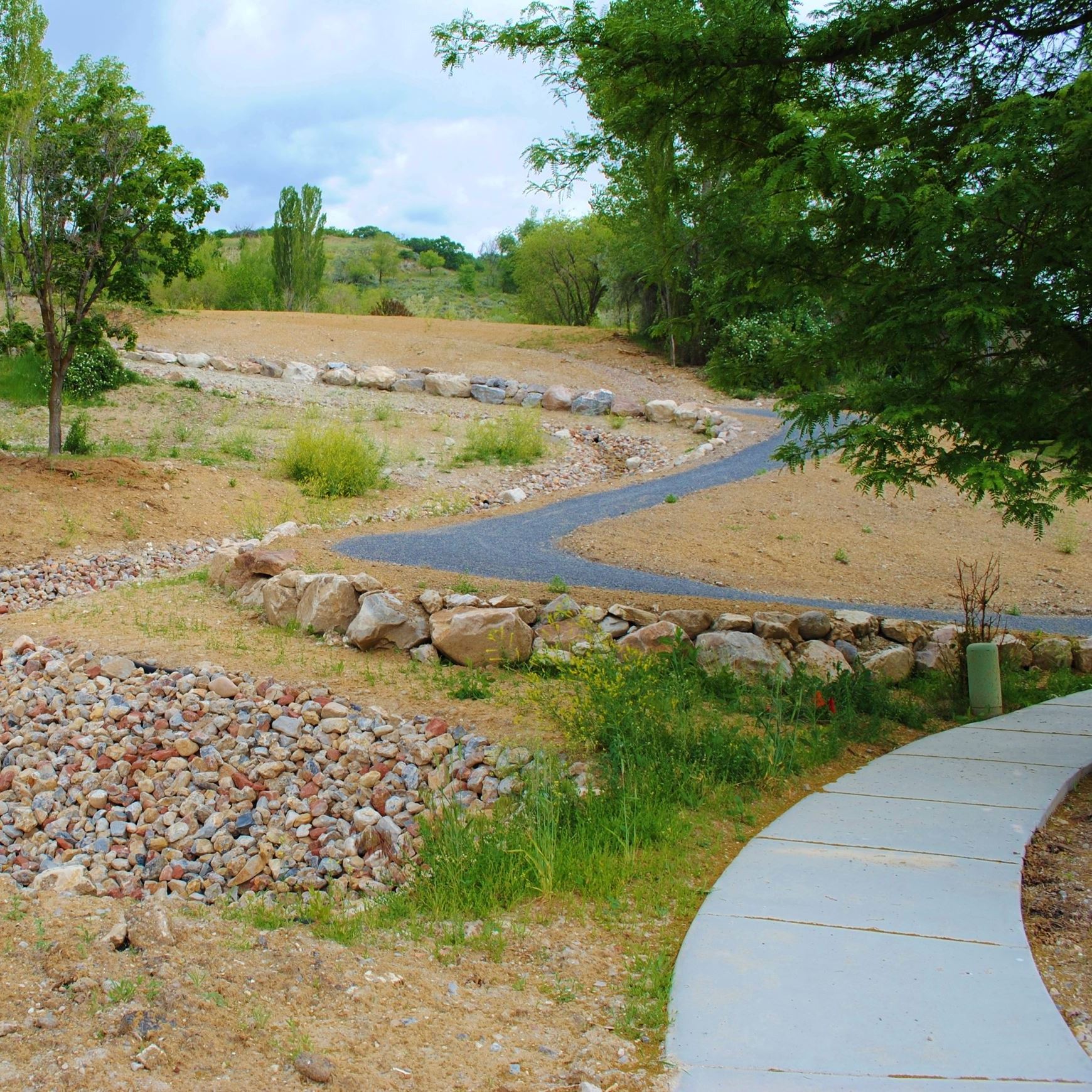 Springhill Geological park trail