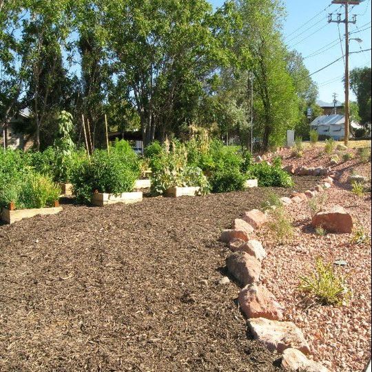 62464_155254584497187_3843005_n