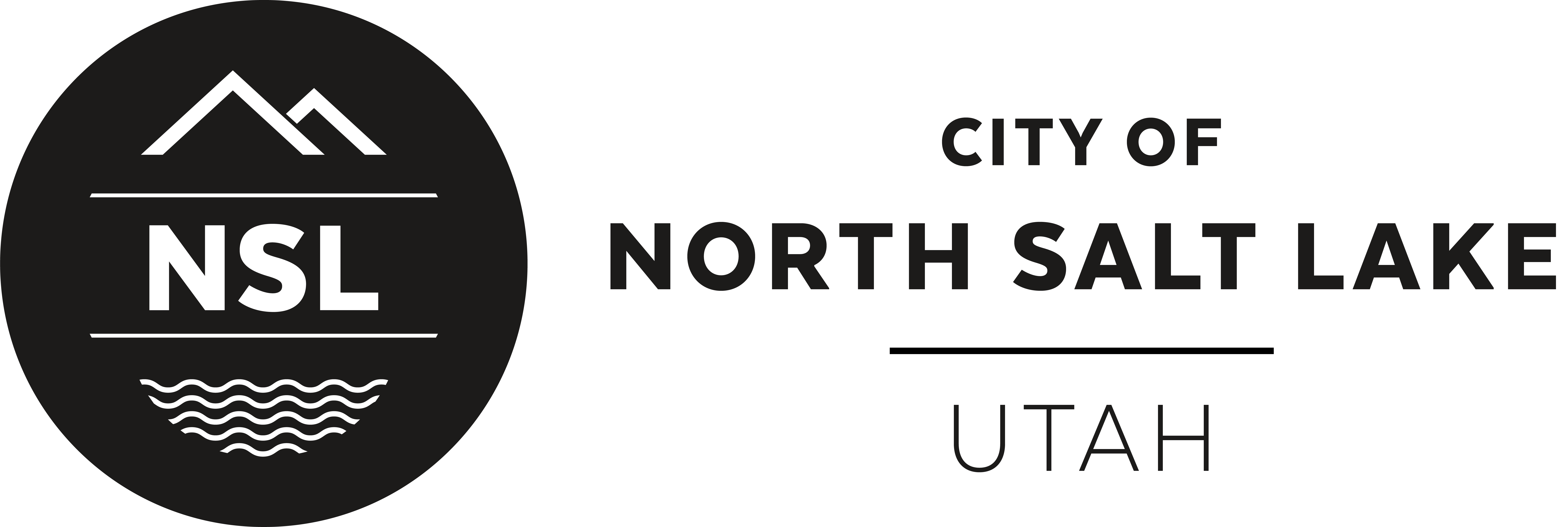 NSL Primary Logo Wide Black One Color